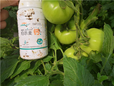 葉面肥，磷酸二氫鉀，鈣肥