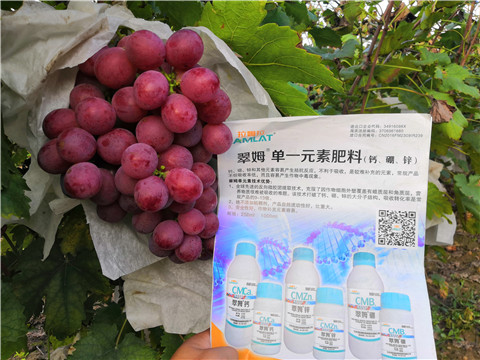 水溶肥，鈣肥，硼肥