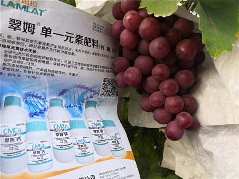 水溶肥，鈣肥，硼肥