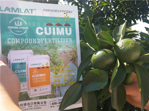 菌劑，水溶肥，