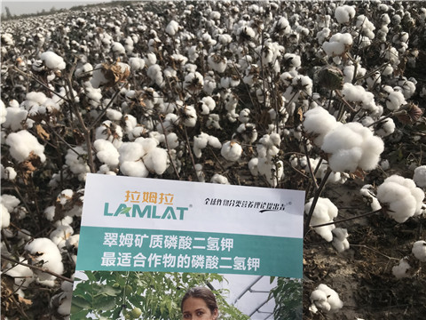 水溶肥，根碧多，生物菌劑