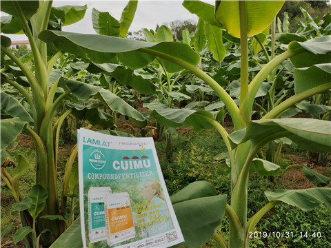 葉面肥，微生物菌劑，硼肥，水溶肥