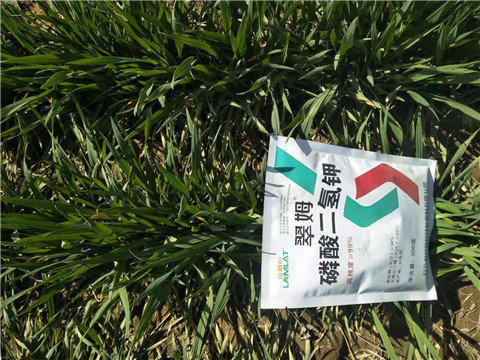 磷酸二氫鉀，