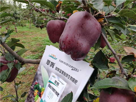 微生物菌劑，