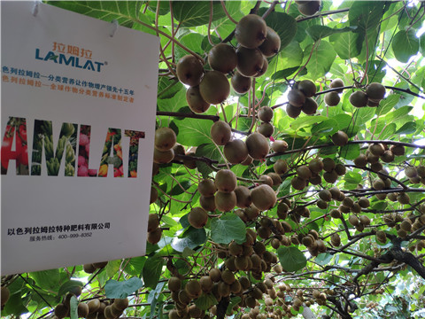 磷酸二氫鉀，葉面肥