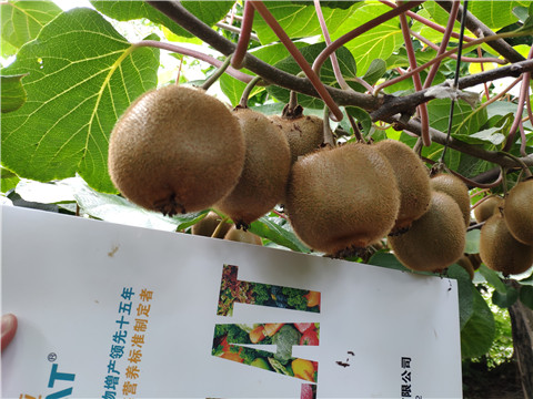 磷酸二氫鉀，葉面肥