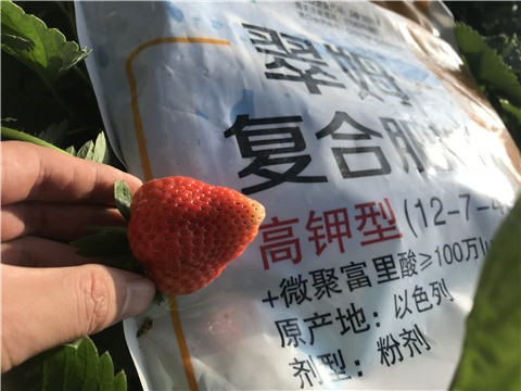 水溶，拉姆拉，翠姆