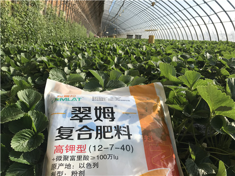 水溶，拉姆拉，翠姆