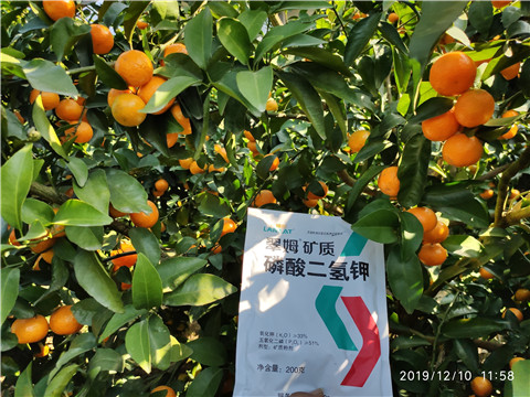 水溶肥，磷酸二氫鉀