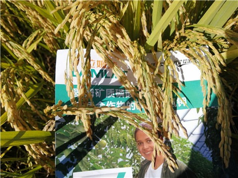 水溶肥，磷酸二氫鉀，