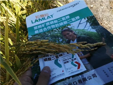 水溶肥，磷酸二氫鉀，