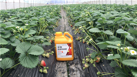 水溶肥，翠姆