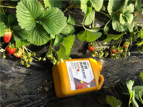 水溶肥，拉姆拉