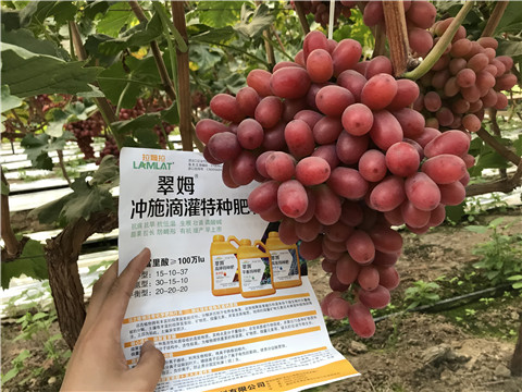 沖施肥，拉姆拉