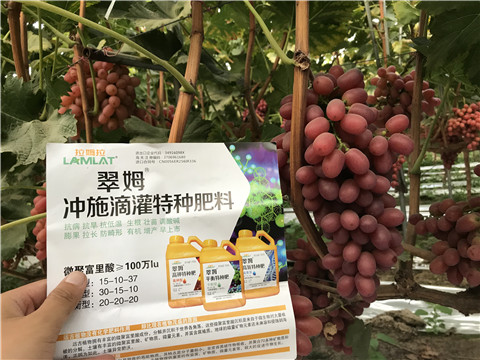 沖施肥，拉姆拉