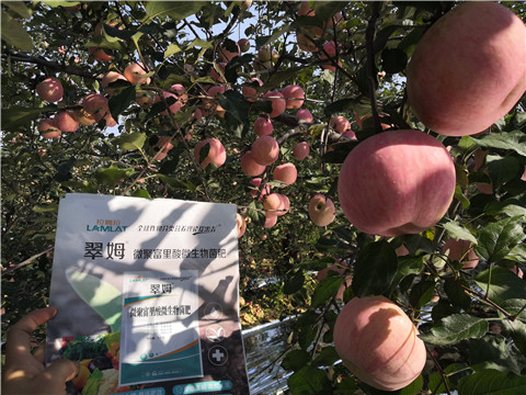 水溶肥，磷酸二氫鉀，微生物菌劑