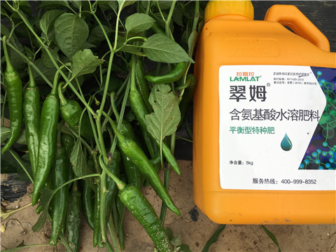 根碧多，微生物菌，葉面肥