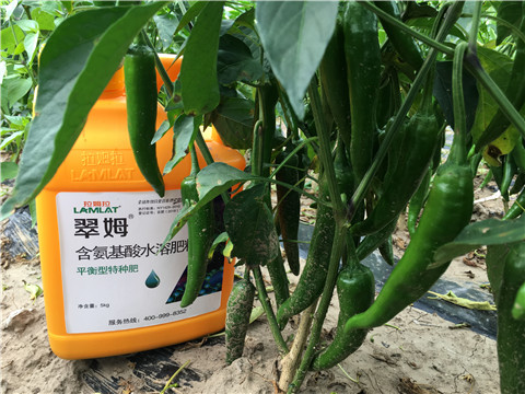 根碧多，微生物菌，葉面肥