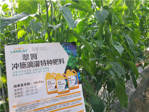 水溶肥，硼肥