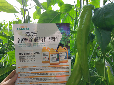 水溶肥，硼肥