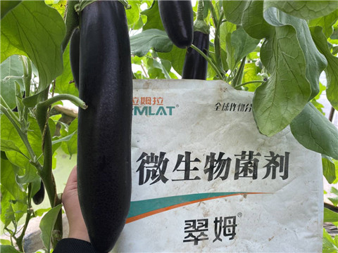 微生物菌劑，拉姆拉