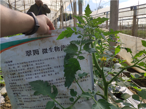 微生物菌劑 ，拉姆拉翠姆