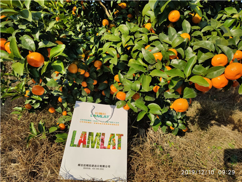 沖施肥，拉姆拉