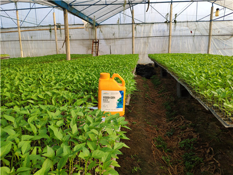水溶肥，