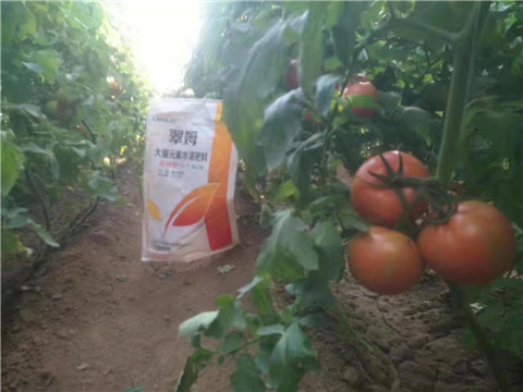 大量元素水溶肥，拉姆拉 