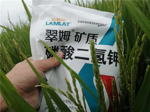 農(nóng)資經(jīng)銷商，拉姆拉，磷酸二氫鉀