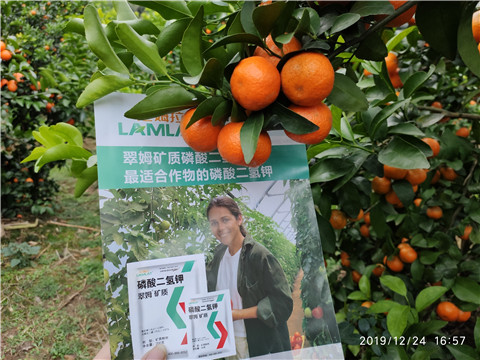 磷酸二氫鉀，葉面肥