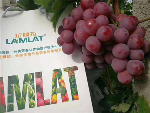 葉面肥，微生物菌劑