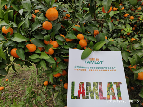 水溶肥，根碧多