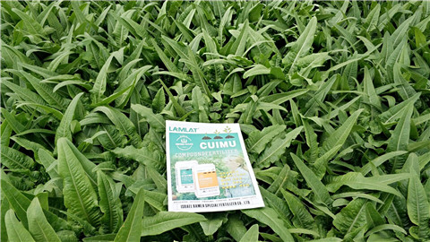 葉面肥，磷酸二氫鉀