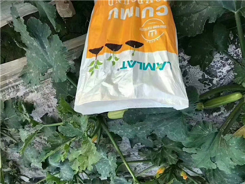 水溶肥，拉姆拉