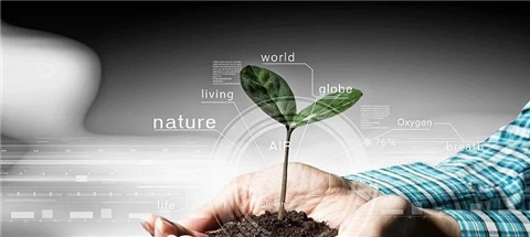 魚蛋白,水溶肥,翠姆,肥料 魚蛋白,水溶肥,翠姆,肥料