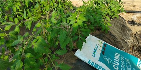 磷酸二氫鉀，鈣肥，水溶肥