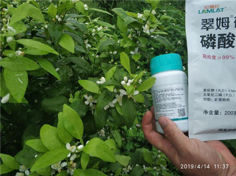 水溶肥，根碧多