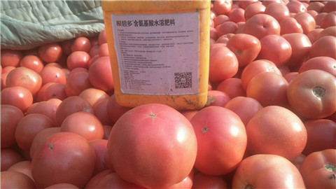 水溶肥，根碧多