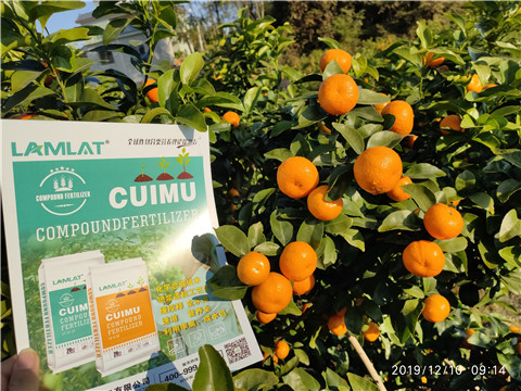 水溶肥，磷酸二氫鉀