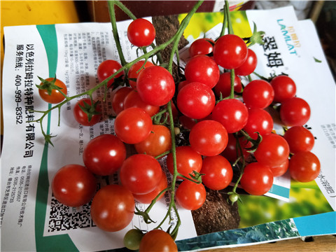 磷酸二氫鉀，鈣肥，根碧多