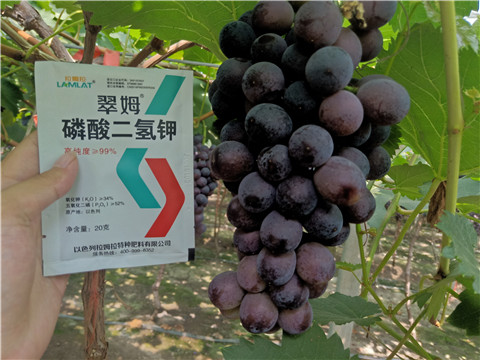 磷酸二氫鉀，葉面肥