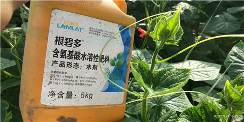 水溶肥，翠姆