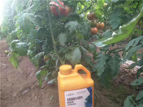 根碧多，微生物菌劑