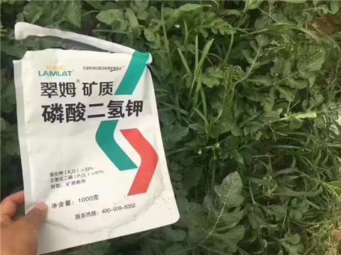 磷酸二氫鉀，硼肥，沖施肥