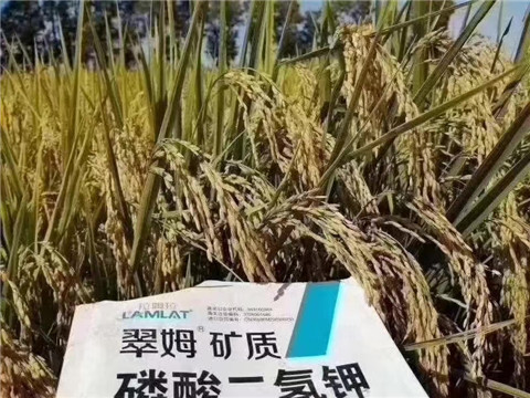 磷酸二氫鉀，翠姆