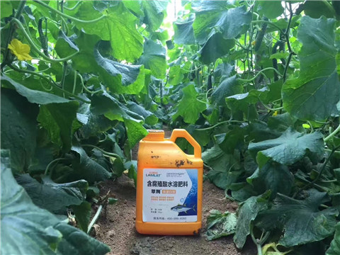 水溶肥，翠姆