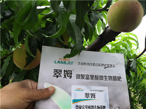 根碧多，微生物菌劑