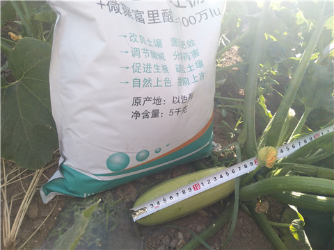 微生物菌劑，磷酸二氫鉀