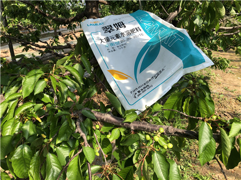 大量元素水溶肥，磷酸二氫鉀，硼肥